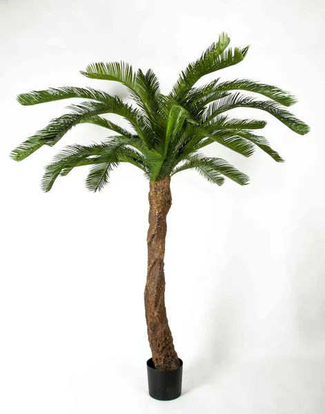 Hovedbilde Kunstig Cycas Palme 170 cm